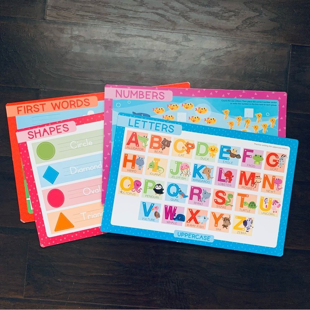 Learning to Write ABCs & Numbers Write and Wipe Large Double-Sided Boards Bundle